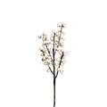 Mr Plant Marjaoksa 35 cm VALITSE VÄRI Valkoinen