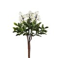 Mr Plant Marjaoksa 20 cm - VALITSE VÄRI White