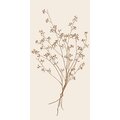 Ib Laursen Flower silhouette servetit 40 x 40 cm, 16 kpl/pkt VALITSE VÄRI Ruskea