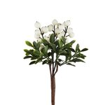 Mr Plant Marjaoksa 20 cm - VALITSE VÄRI Valkoinen