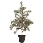 Ib Laursen Cedar tree in a pot - CHOOSE SIZE 60 x 28 cm