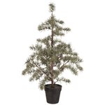 Ib Laursen Cedar tree in a pot - CHOOSE SIZE 80 x 35 cm