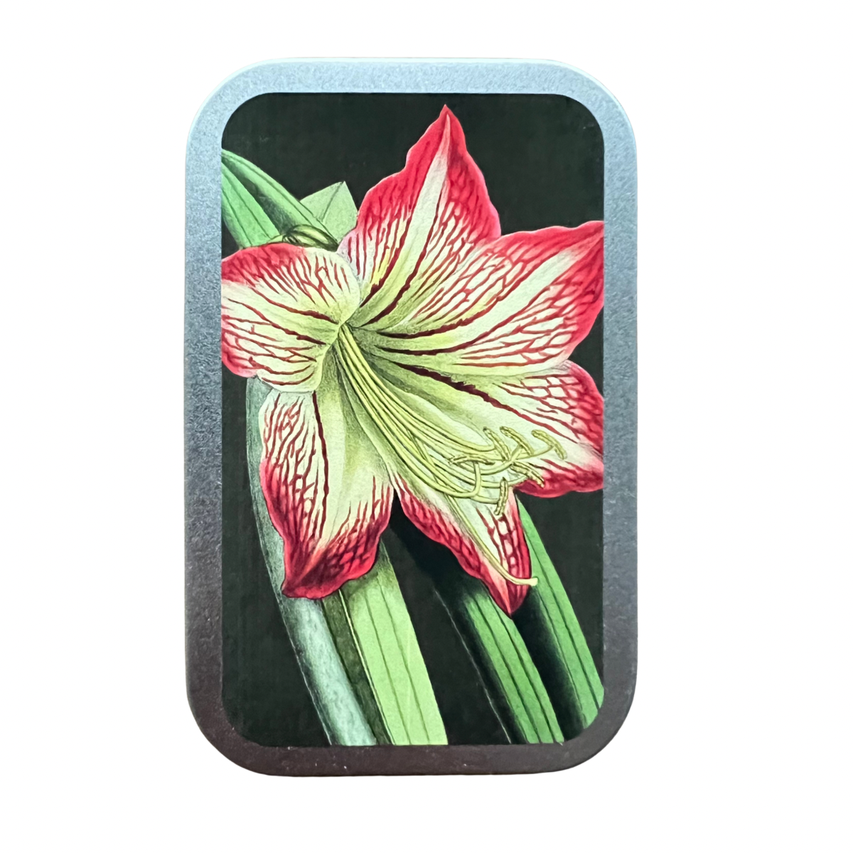 Sköna Ting joulukukat piparminttupastillit 55 g – VALITSE MALLI 1