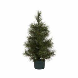 House Doctor Pinus joulukuusi valoilla, 60 cm