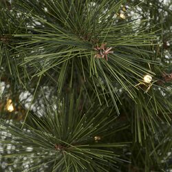 House Doctor Pinus joulukuusi valoilla, 60 cm