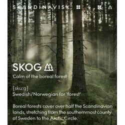 Skandinavisk Skog huonetuoksu 200 ml, täyttöpullo