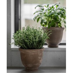 Ernst Jalallinen ruukku harmaanruskea VALITSE KOKO