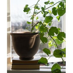 Ernst Jalallinen ruukku harmaanruskea VALITSE KOKO