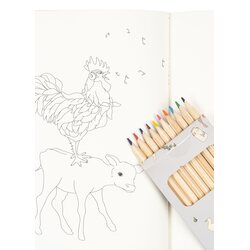 Konges Slojd Farm colouring book and crayons