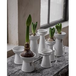 Ernst Hyacinth vase rifled 11 x 11 cm, off-white