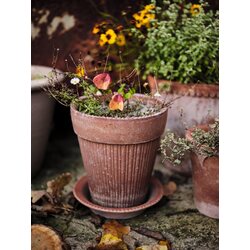 Bergs Potter Simona pot raw terracotta rosa CHOOSE SIZE