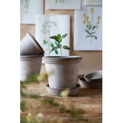 Bergs Potter Flora pot raw terracotta grey CHOOSE SIZE