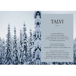 Cozy Publishing Mökkiruokaa läpi vuoden