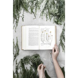 Cozy Publishing Festive kirja