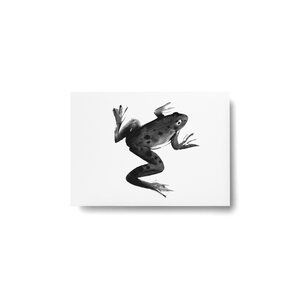 Teemu Järvi Frog postcard