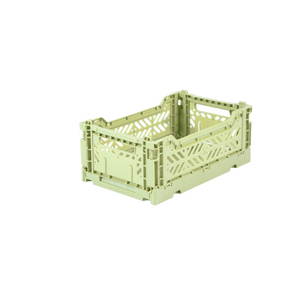 Aykasa Minikori, melon