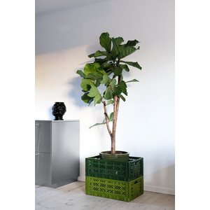 Aykasa Maxi stackable crate, almond green