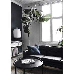 Cozy Publishing Green home book -kirja