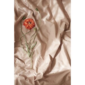 Midnatt Muotoonommeltu lakana, wilted