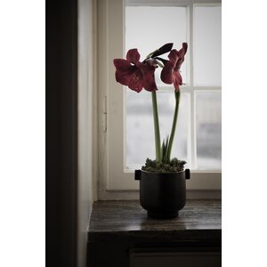 Ernst pot with ears 19,5 x 22,5 cm, black