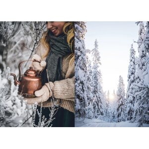 Cozy Publishing Nordic Winter Cookbook – Talven makuja juhlaan ja arkeen