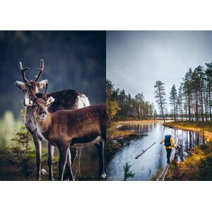 Cozy Publishing Retkiruokakirja – Kasvisreseptejä helpoista eväistä vaellusaterioihin
