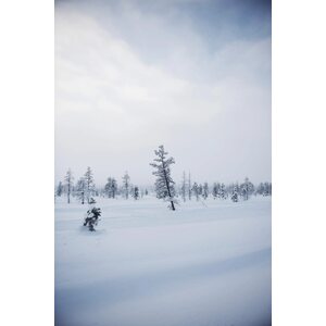 Cozy Publishing Eat finland kirja
