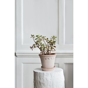 Bergs Potter Copenhagen pot raw terracotta rosa CHOOSE SIZE