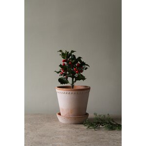 Bergs Potter Helena pot raw terracotta rosa, CHOOSE SIZE