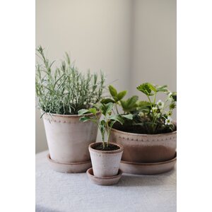 Bergs Potter Helena pot raw terracotta rosa, CHOOSE SIZE