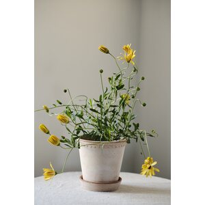 Bergs Potter Helena pot raw terracotta rosa, CHOOSE SIZE