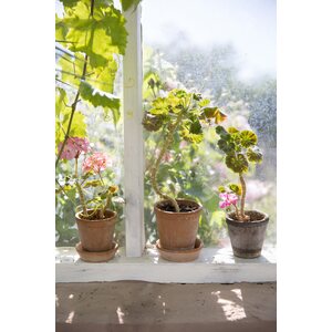 Bergs Potter Helena pot raw terracotta rosa, CHOOSE SIZE