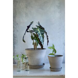 Bergs Potter Julie pot raw terracotta grey, CHOOSE SIZE