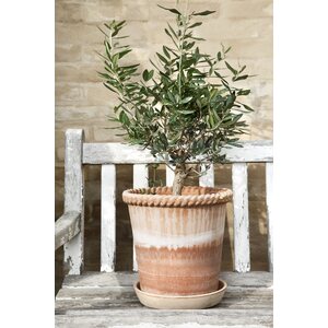 Bergs Potter Emilia pot raw terracotta rosa, CHOOSE SIZE