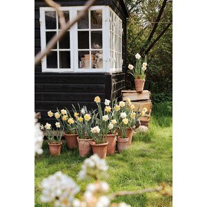 Bergs Potter Emilia pot raw terracotta rosa, CHOOSE SIZE