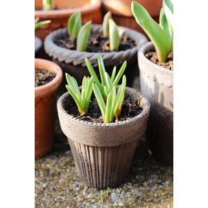 Bergs Potter Emilia pot raw terracotta grey, CHOOSE SIZE