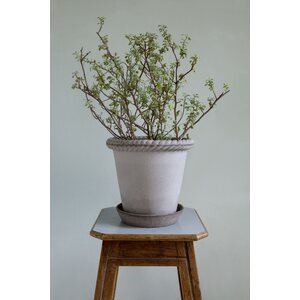Bergs Potter Emilia pot raw terracotta grey, CHOOSE SIZE