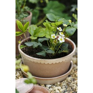 Bergs Potter Helena pot raw terracotta rosa, low