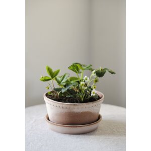 Bergs Potter Helena pot raw terracotta rosa, low