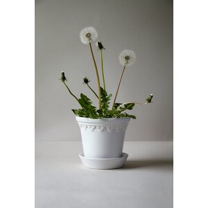 Bergs Potter Copenhagen glazed pot white, CHOOSE SIZE