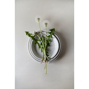 Bergs Potter Copenhagen glazed pot white, CHOOSE SIZE