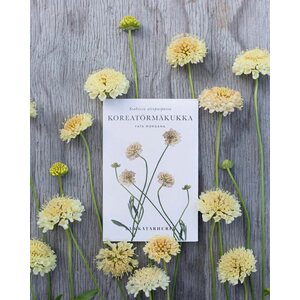 Kukkatarhurit Koreatörmäkukka Fata Morgana