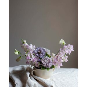 Kukkatarhurit Leijonankita Legend Light Pink