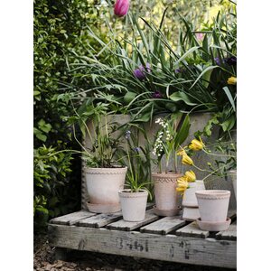Bergs Potter Helena pot raw terracotta rosa, CHOOSE SIZE