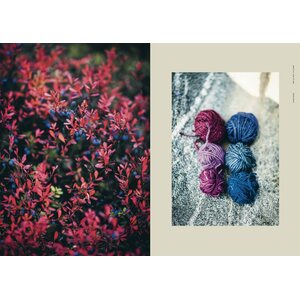 Cozy Publishing Arctic Knitting – Luonnon lumoa ja kuvioneulontaa
