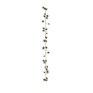 Mr Plant lehtikuusiköynnös kävyillä 130 cm