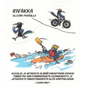 More Joy Rivakka tiskirätti