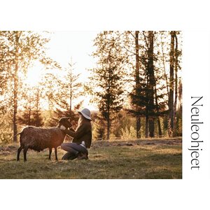 Cozy Publishing Neulehetkiä – Silmukoita pohjoisen järven rannalta