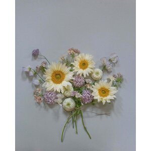 Kukkatarhurit Auringonkukka Procut White Lite