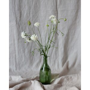 Kukkatarhurit Koreatörmäkukka Snowmaiden